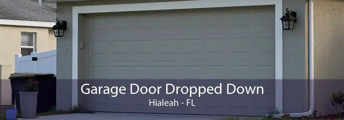 Garage Door Dropped Down Hialeah - FL