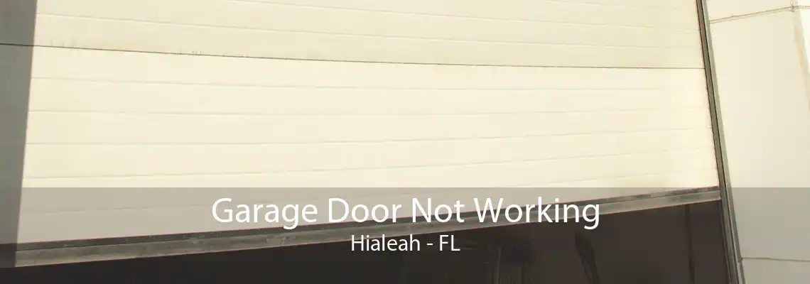 Garage Door Not Working Hialeah - FL