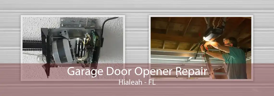 Garage Door Opener Repair Hialeah - FL