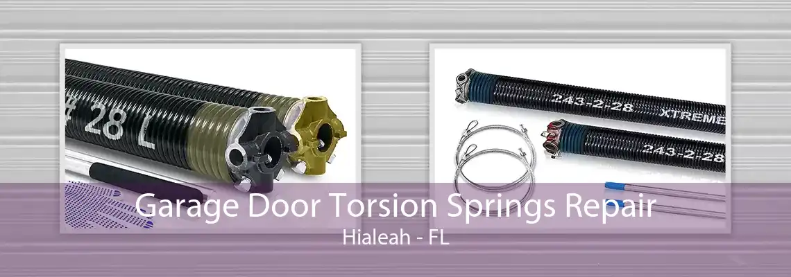 Garage Door Torsion Springs Repair Hialeah - FL