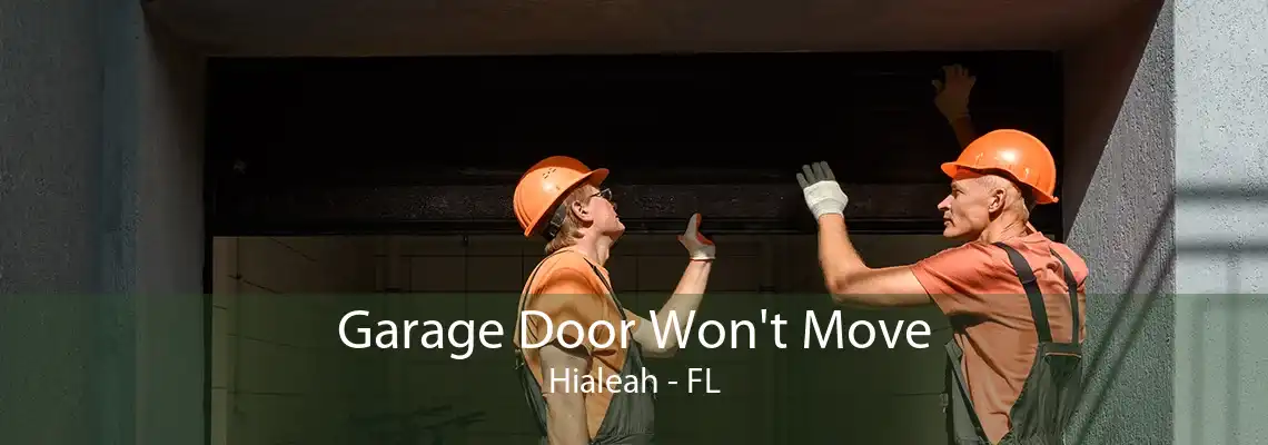 Garage Door Won't Move Hialeah - FL