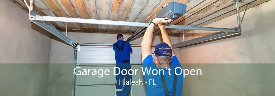 Garage Door Won't Open Hialeah - FL